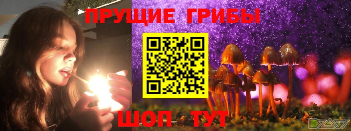 Канаш  Псилоцибиновые грибы прущие грибы  Вход с VPN 