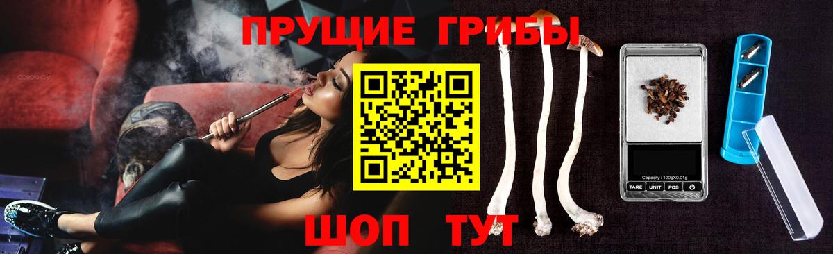 Галлюциногенные грибы Psilocybine cubensis Канаш